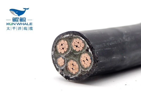 低煙無鹵電纜應用在哪些場所你知道嗎？