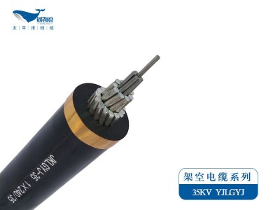 架空電纜系列JKLYJ，JKLGYJ 0.6/1KV