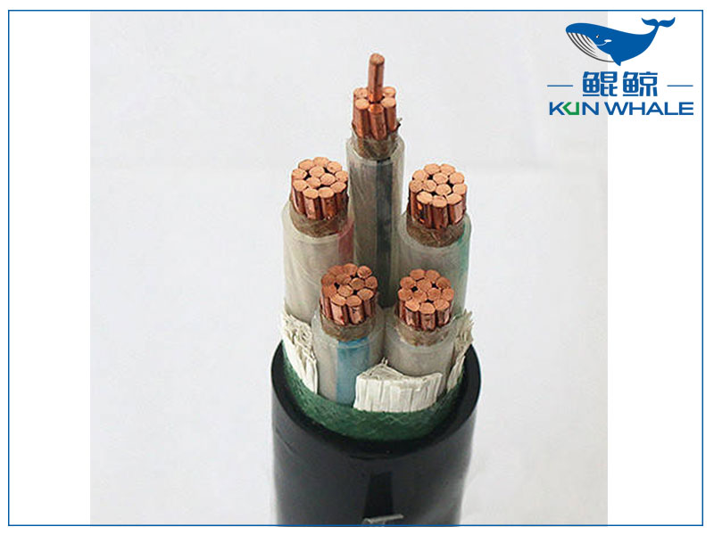 鄭州電纜廠帶你了解wdz—yje是什么電纜？